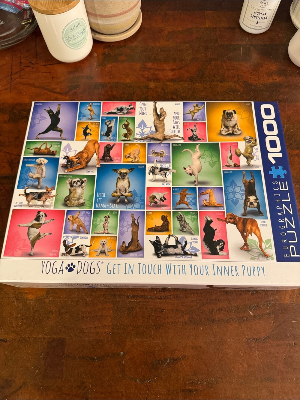 Yoga Dogs 1000-Piece Jigsaw Puzzle - Multicolor
